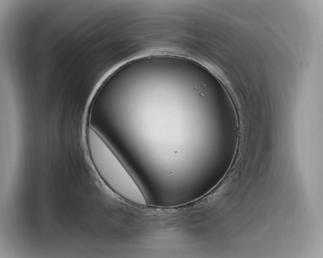 X0000116290912200912071208