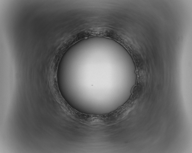 X0000116290913200912071208