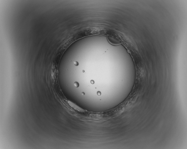 X0000116290914200912071208