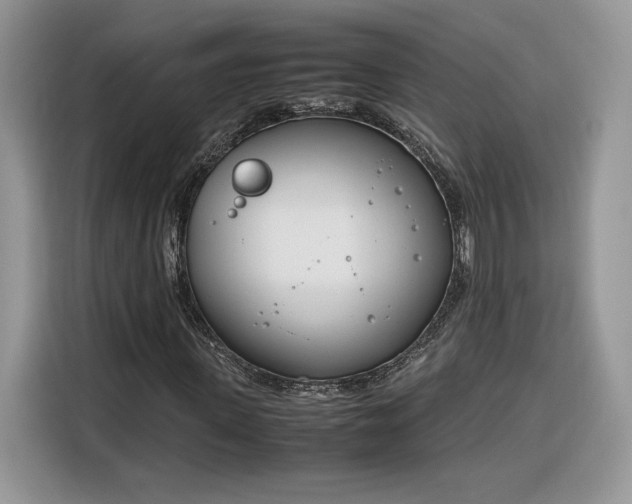 X0000116290915200912071208