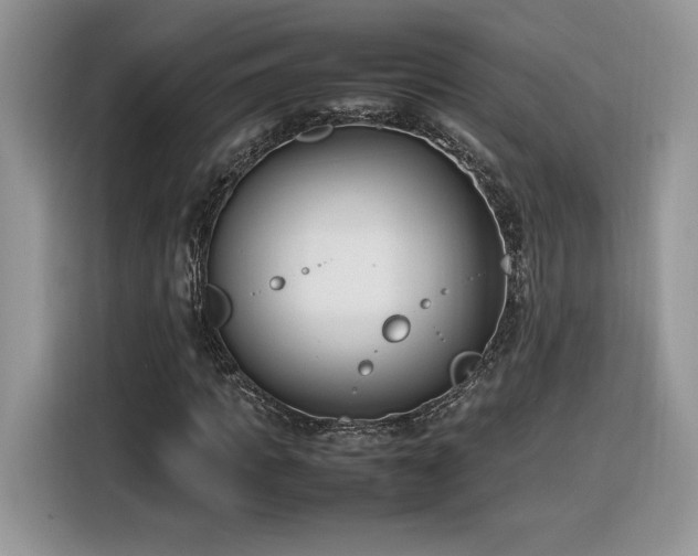 X0000116290917200912071208