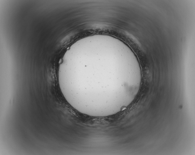 X0000116290918200912071208