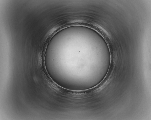 X0000116290921200912071208