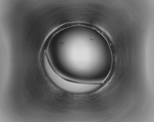 X0000116290925200912071208