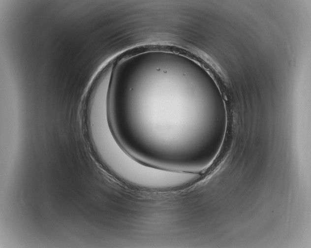 X0000116290926200912071208