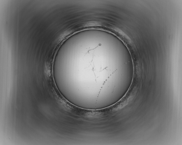 X0000116290929200912071208