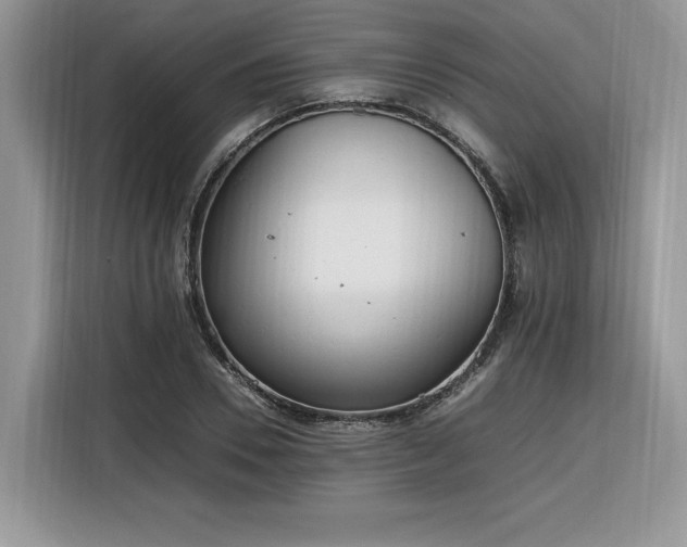 X0000116290930200912071208