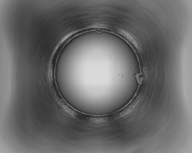 X0000116290931200912071208