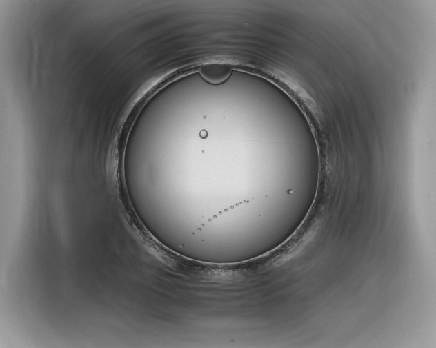 X0000116290933200912071208