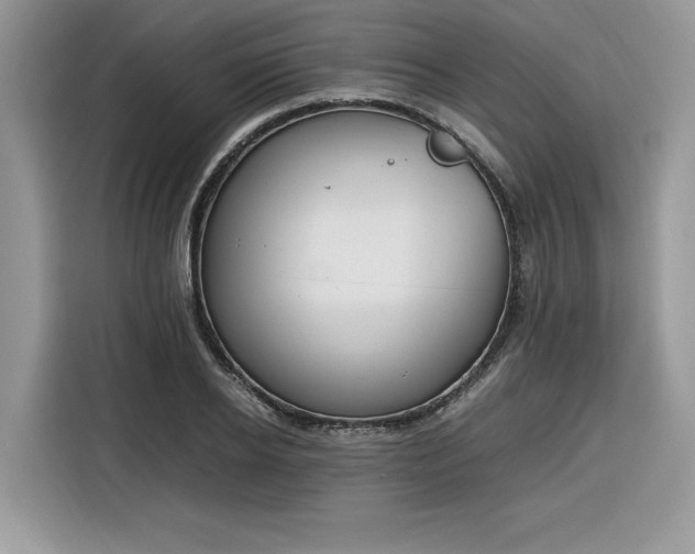 X0000116290934200912071208