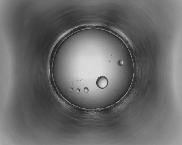 X0000116290935200912071208