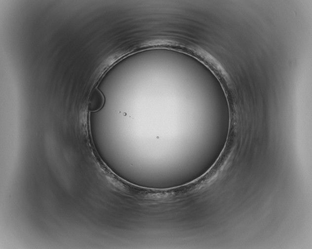 X0000116290937200912071208