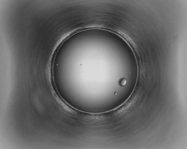 X0000116290941200912071208