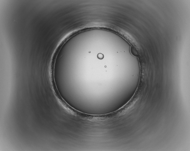 X0000116290942200912071208