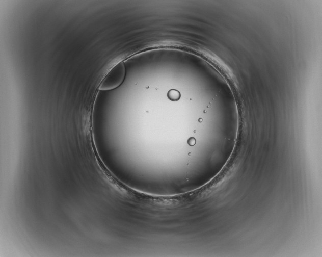 X0000116290945200912071208