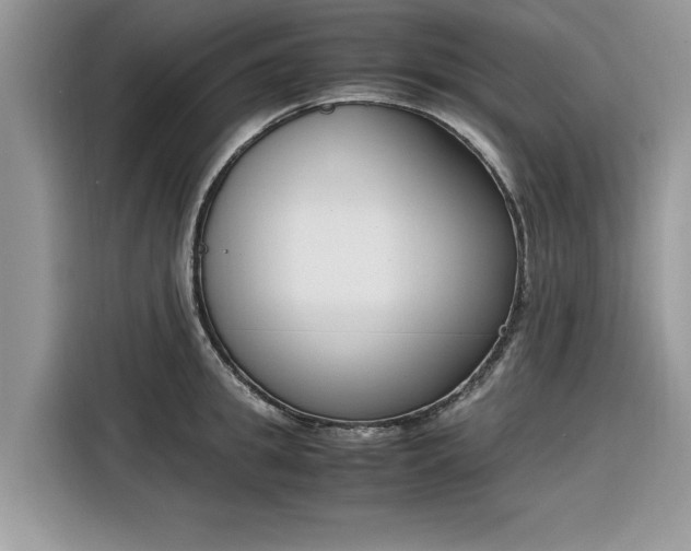 X0000116290949200912071208