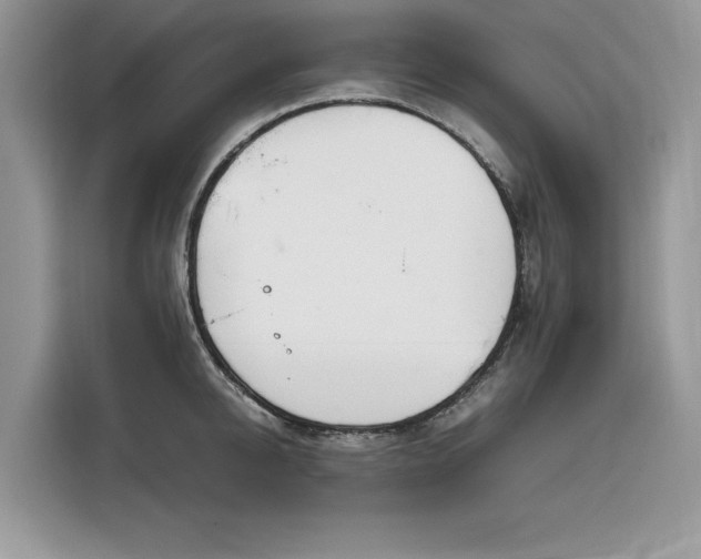 X0000116290950200912071208