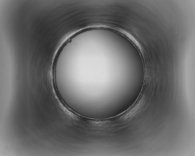 X0000116290951200912071208