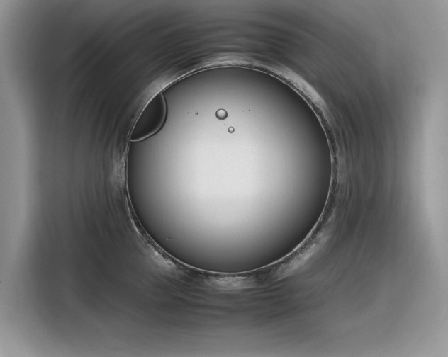 X0000116290953200912071208