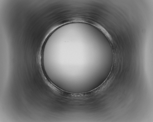 X0000116290955200912071208