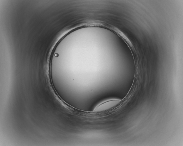 X0000116290959200912071208