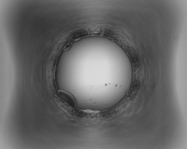 X0000116290961200912071208