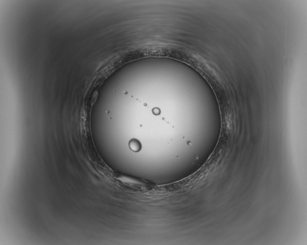 X0000116290964200912071207