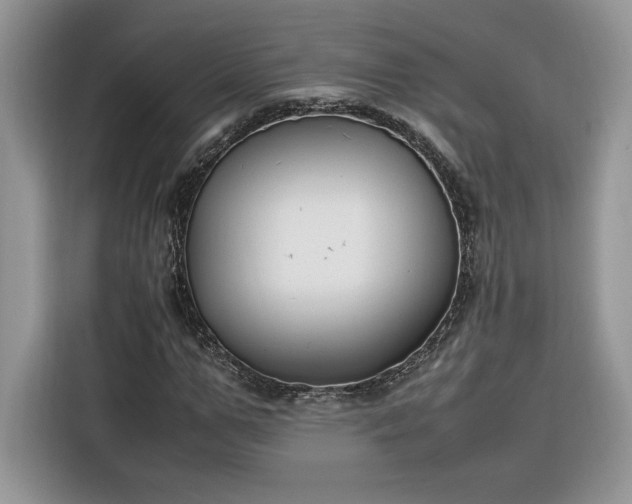 X0000116290967200912071207