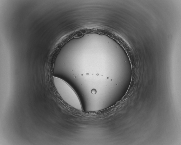 X0000116290968200912071207