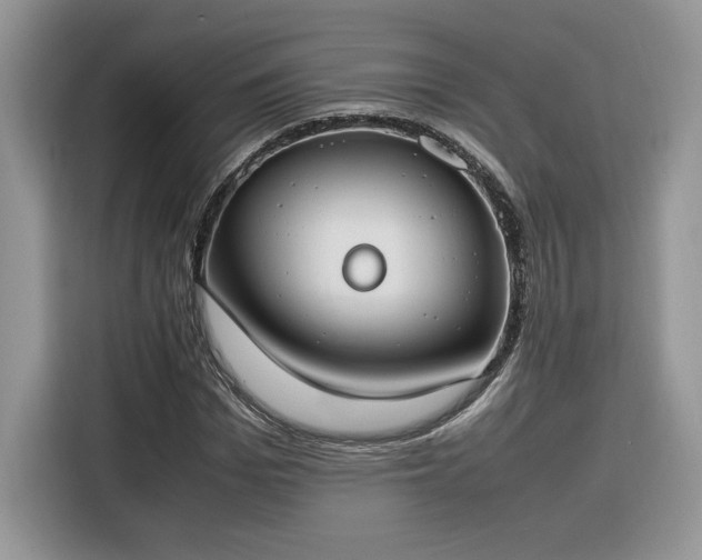 X0000116290969200912071207