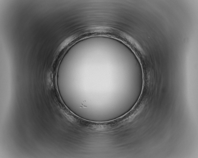 X0000116290970200912071207