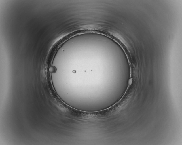 X0000116290971200912071207