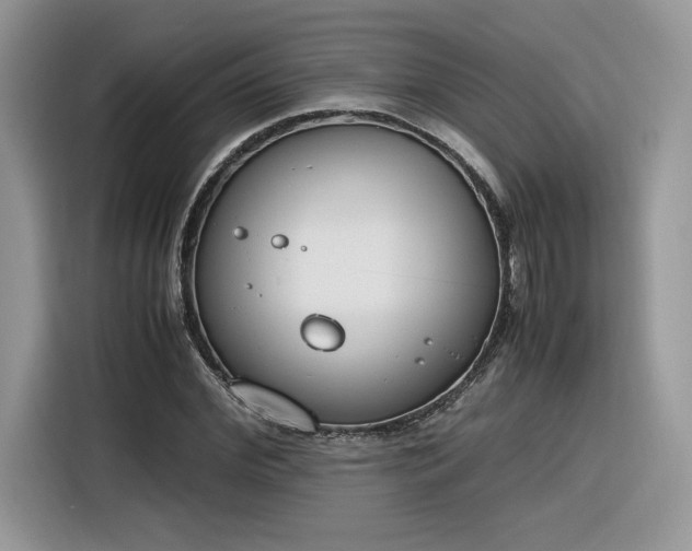 X0000116290972200912071207