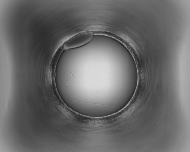 X0000116290973200912071207