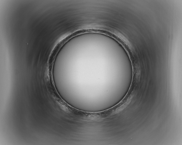 X0000116290974200912071207