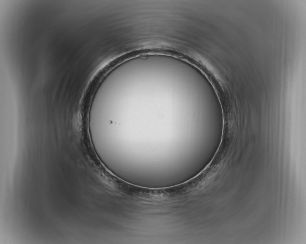 X0000116290975200912071207