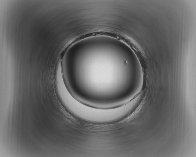 X0000116290977200912071207