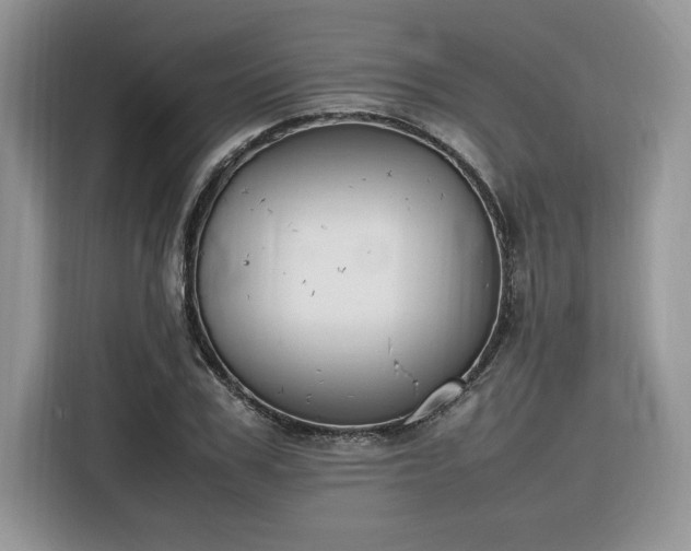 X0000116290979200912071207