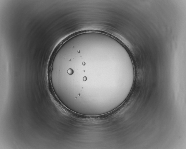 X0000116290980200912071207