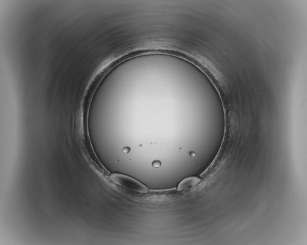 X0000116290982200912071207