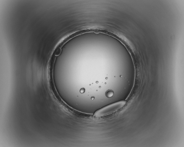 X0000116290983200912071207