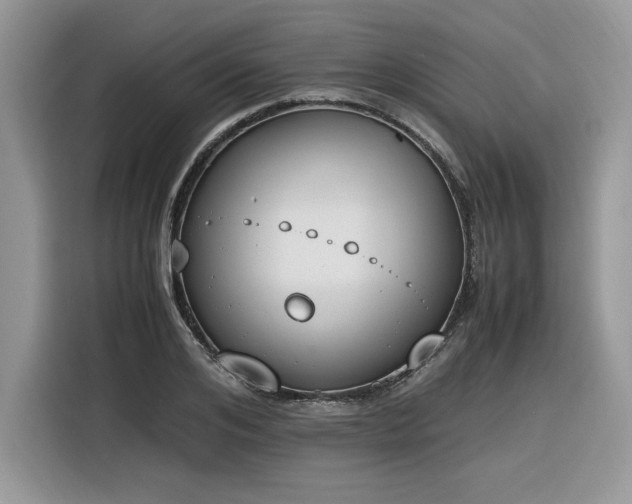 X0000116290984200912071207