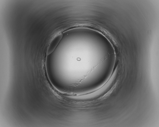 X0000116290985200912071207