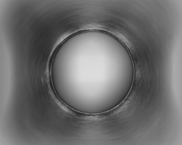 X0000116290990200912071207