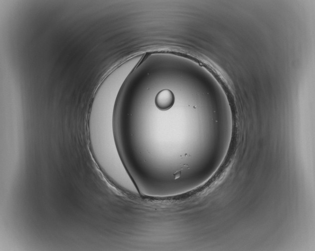 X0000116290993200912071207