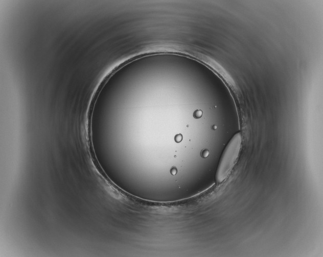 X0000116290996200912071207