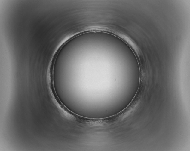 X0000116290999200912071207