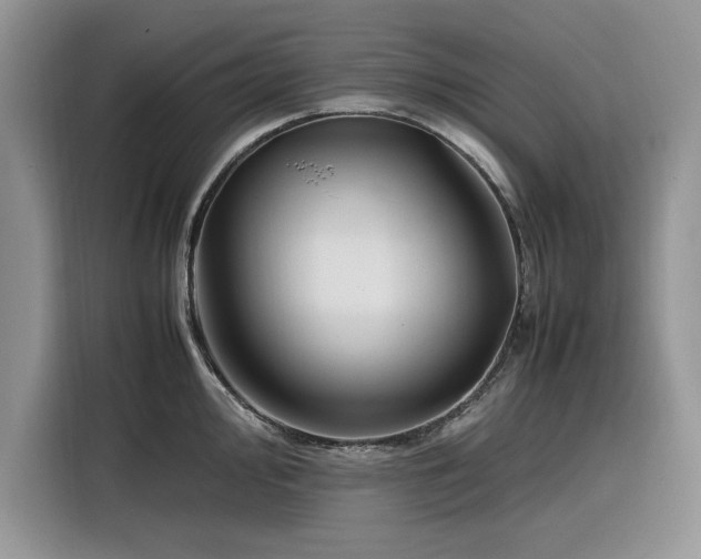 X0000116291000200912071207