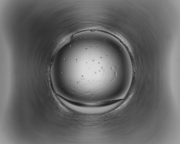 X0000116291001200912071207