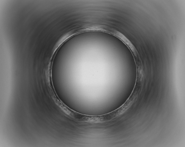 X0000116291002200912071207